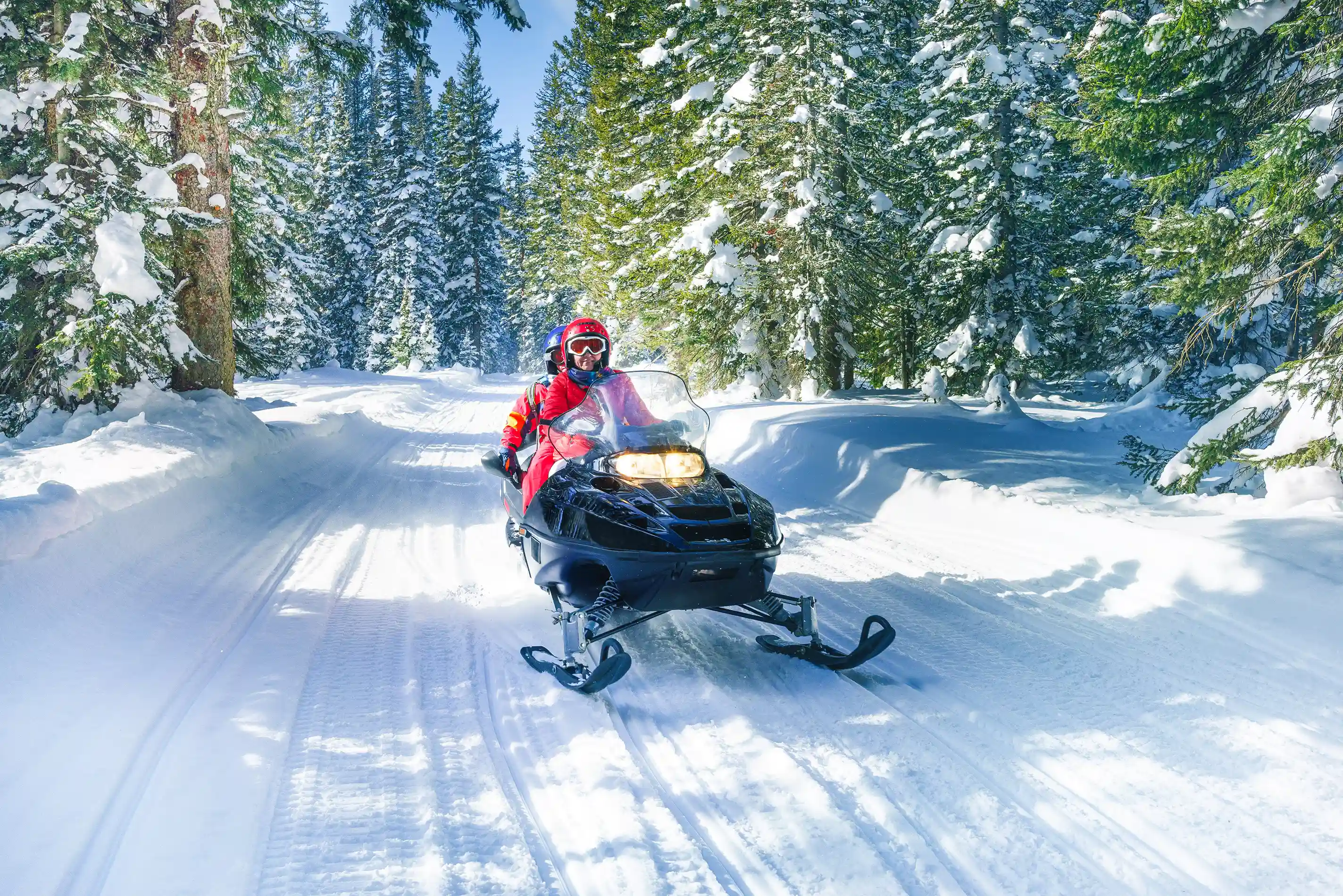Man on snowmobile on a wooded trail
