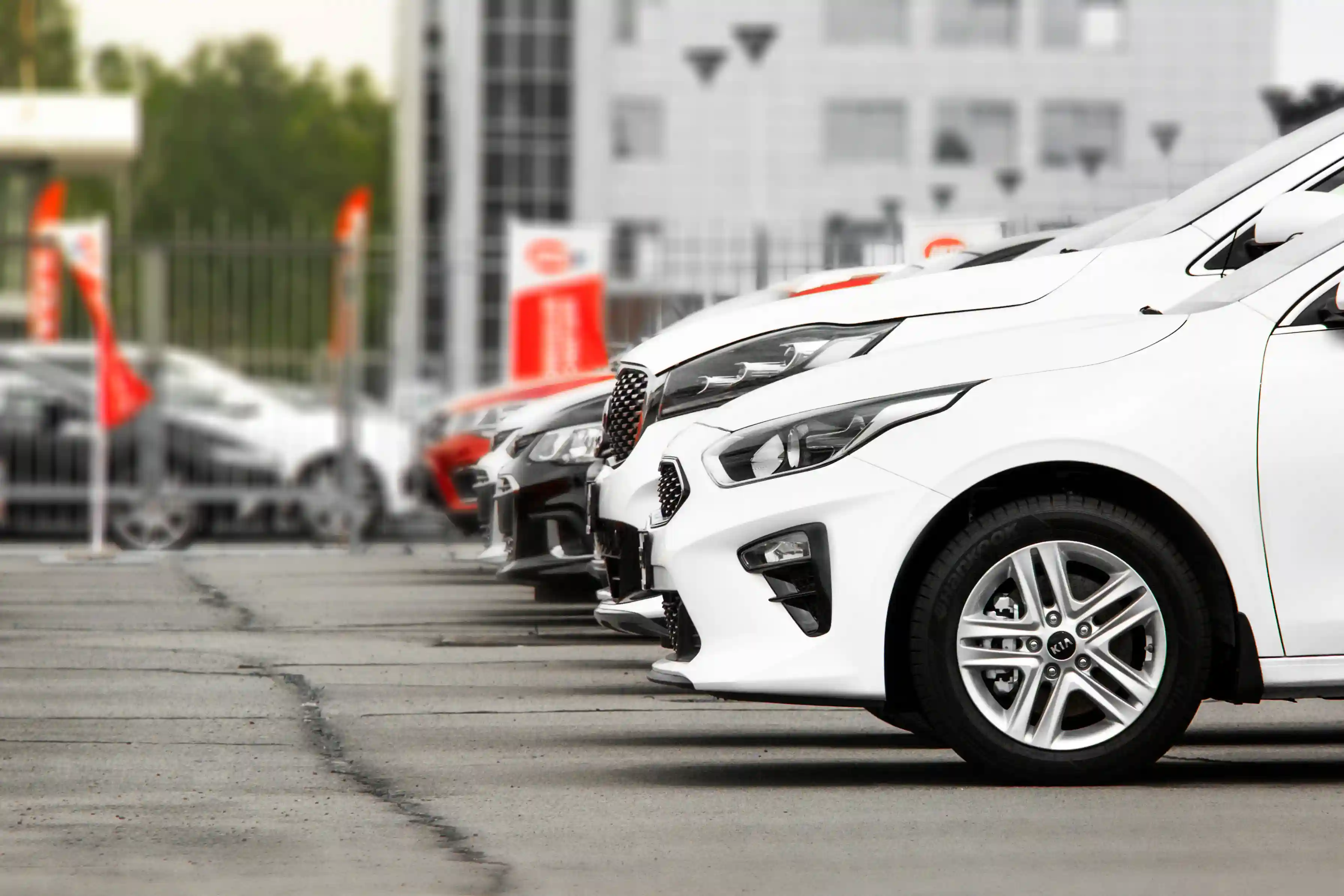 cars at an auto dealership